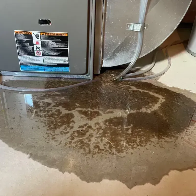 Appliance Leak Cleanup in Picnic Point, WA